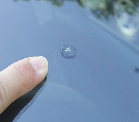 Windshield Chip Repair - Accurate Auto Glass 44319